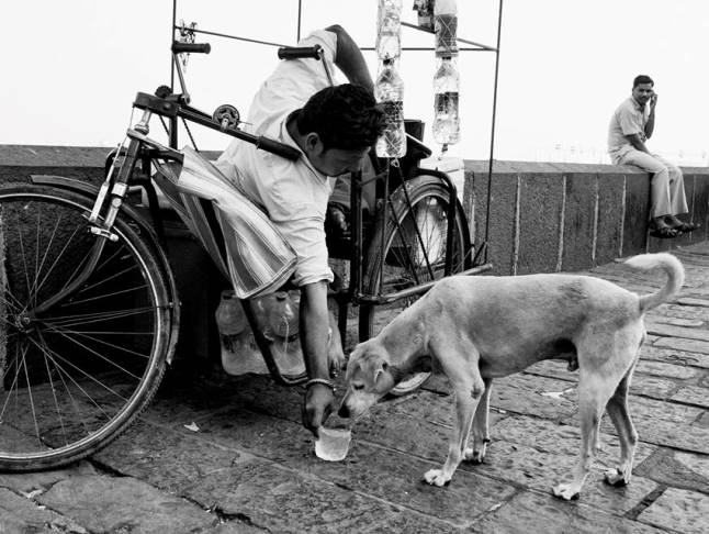 madat-konalahi-karu-shakata