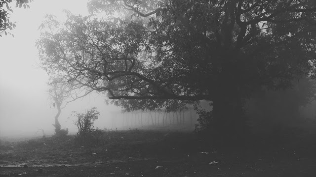 Bhimashankar-to-khandas-1