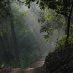 गोंदिया जिल्ह्यातील पर्यटनस्थळे