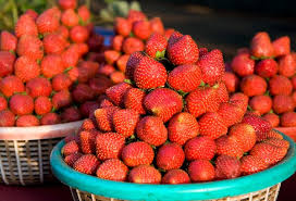 पाच डोंगरांच्या समूहावर वसलेले पाचगणी