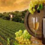 महाराष्ट्रातील मद्यनिर्मिती