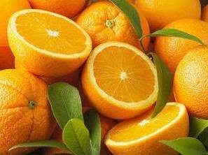 ऑरेज सिटी – नागपूर