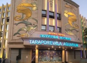 तारापोरवाला मत्स्यालय