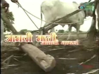 आमची माती आमची माणसं