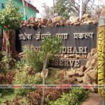 ताडोबा-अंधारी व्याघ्र प्रकल्प