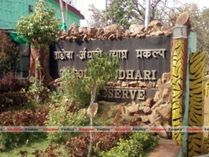 ताडोबा-अंधारी व्याघ्र प्रकल्प