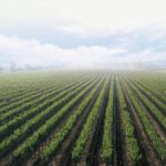 नाशिक जिल्हा कृषीमध्ये आघाडीवर