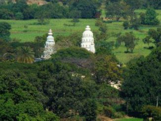 पर्यावरण संवर्धक राळेगणसिध्दी