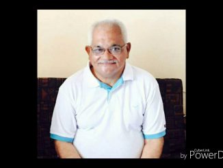 झुळूक इतक्या मंदपणे ती झुळकत होती