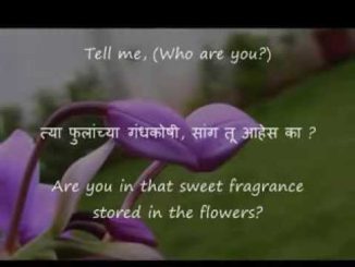 कवी सूर्यकांत रामचंद्र खांडेकर