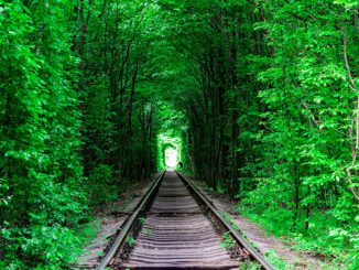 टनेल ऑफ लव्ह