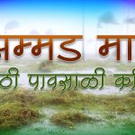 झिम्मड माती