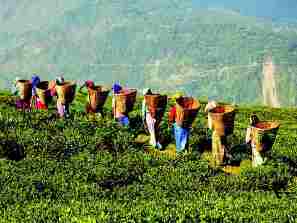 बोकाघाट