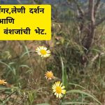 भंडारा डोंगर, लेणी दर्शन
