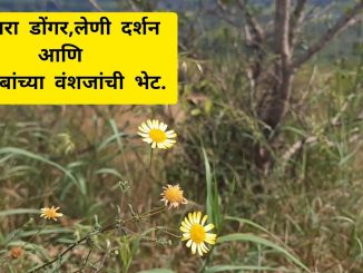 भंडारा डोंगर, लेणी दर्शन