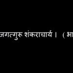 श्रीमद् जगत्गुरू शंकराचार्य : भाग -४
