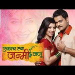 एकाच या जन्मी जणू