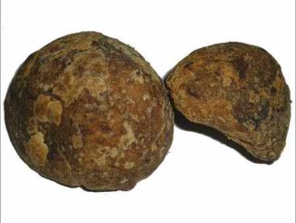 पोल्लाची