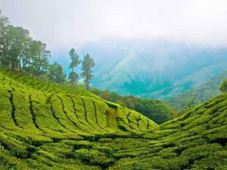 मुन्नार