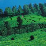 P-6615-kalpetta-01