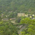 पैनावू