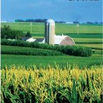 गावाकडची अमेरिका