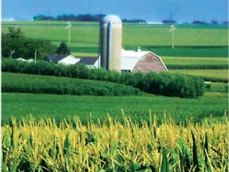 गावाकडची अमेरिका