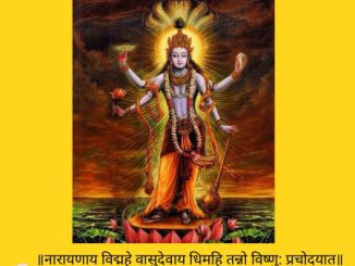 श्री विष्णु सहस्त्रनामावलि