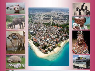 झांझिबार डायरी