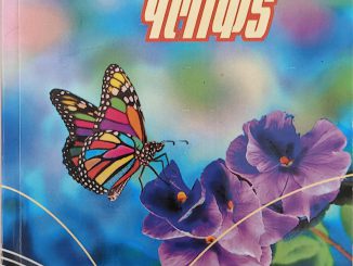 पुस्तकांच्या पलीकडे