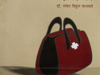 व्हिजिट बॅग