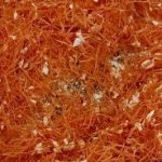 आमरस घालून शेवयाचा शिरा