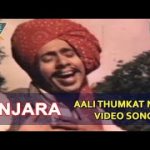 आली ठुमकत नार लचकत – पिंजरा -1972